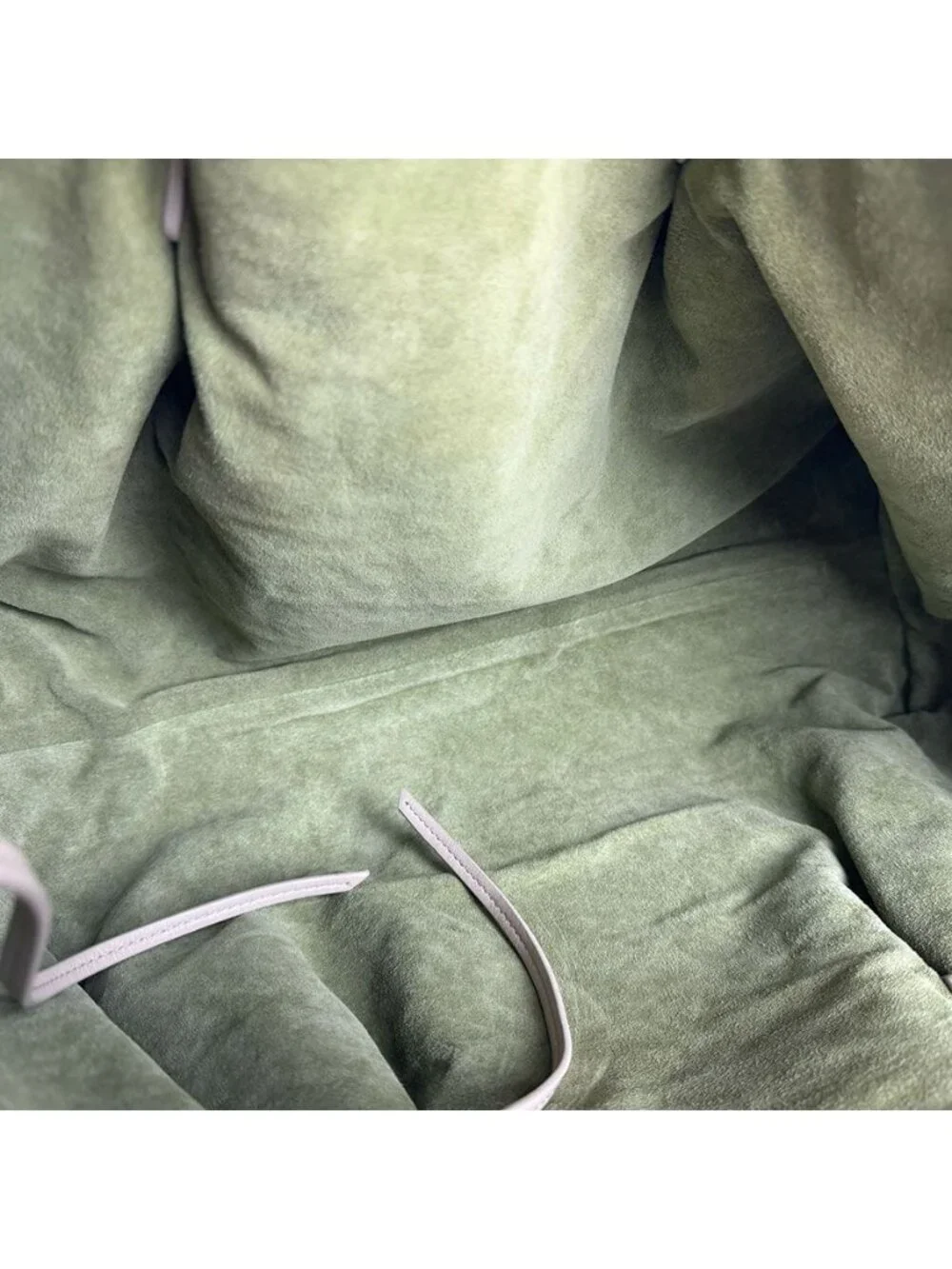 Bottega Veneta item status